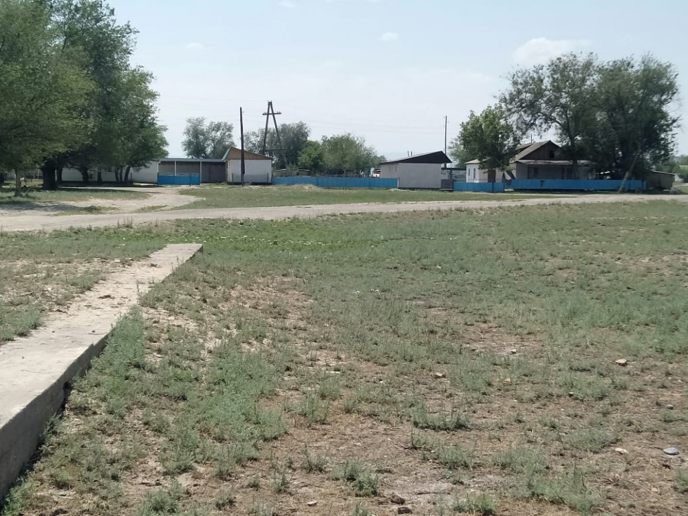 Порно суреттер эротика емес